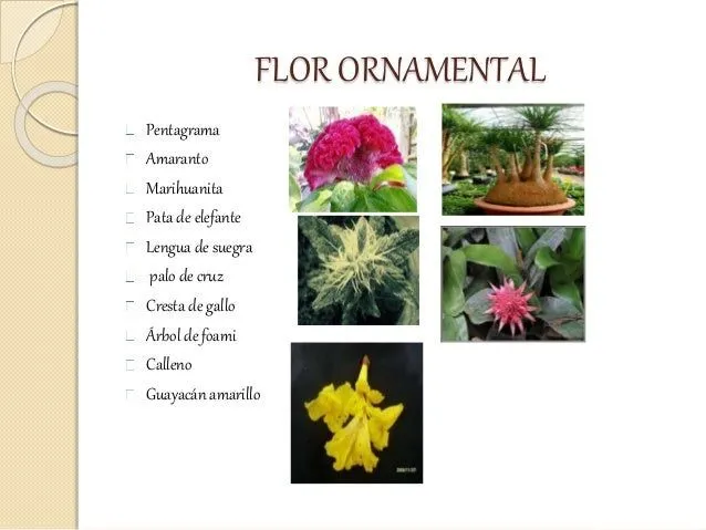 bitacora-jardin-botanico-10- ...