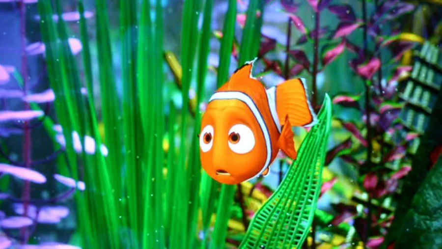 Black Sheep Reviews: A film review site.: FINDING NEMO 3D