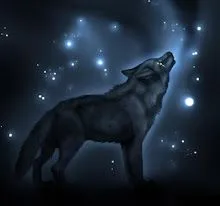 LOS BLACK WOLF: Esa pareja de lobos.