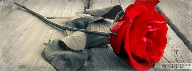 blanca gallegos - Videos - Google+