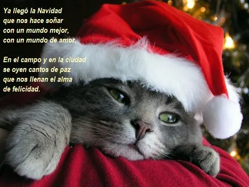 NUESTRO BLOG PARA 5º Y 6º.: ES NAVIDAD.CHRISTMAS TIME