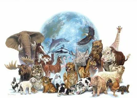 에블린 Blog 데이비드: Animales En Peligro De Extincion