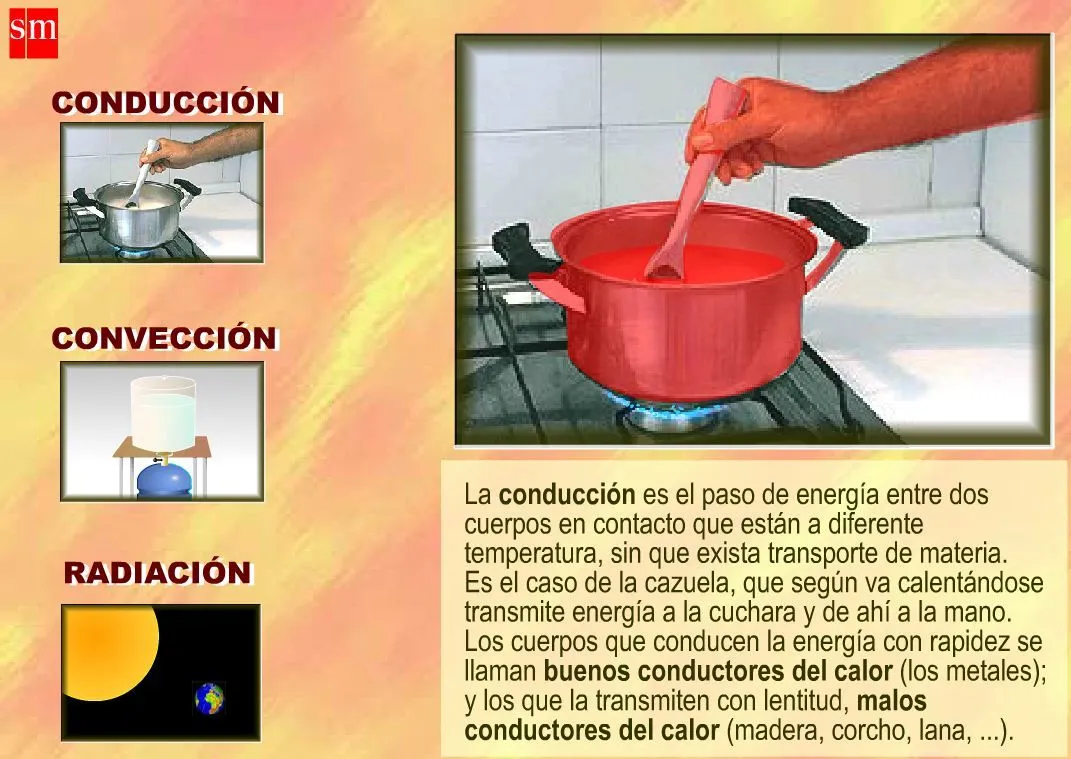 BLOG DEL ÁREA DE BIOLOGÍA Y GEOLOGÍA DE 4º ESO DEL IES MIGUEL ...