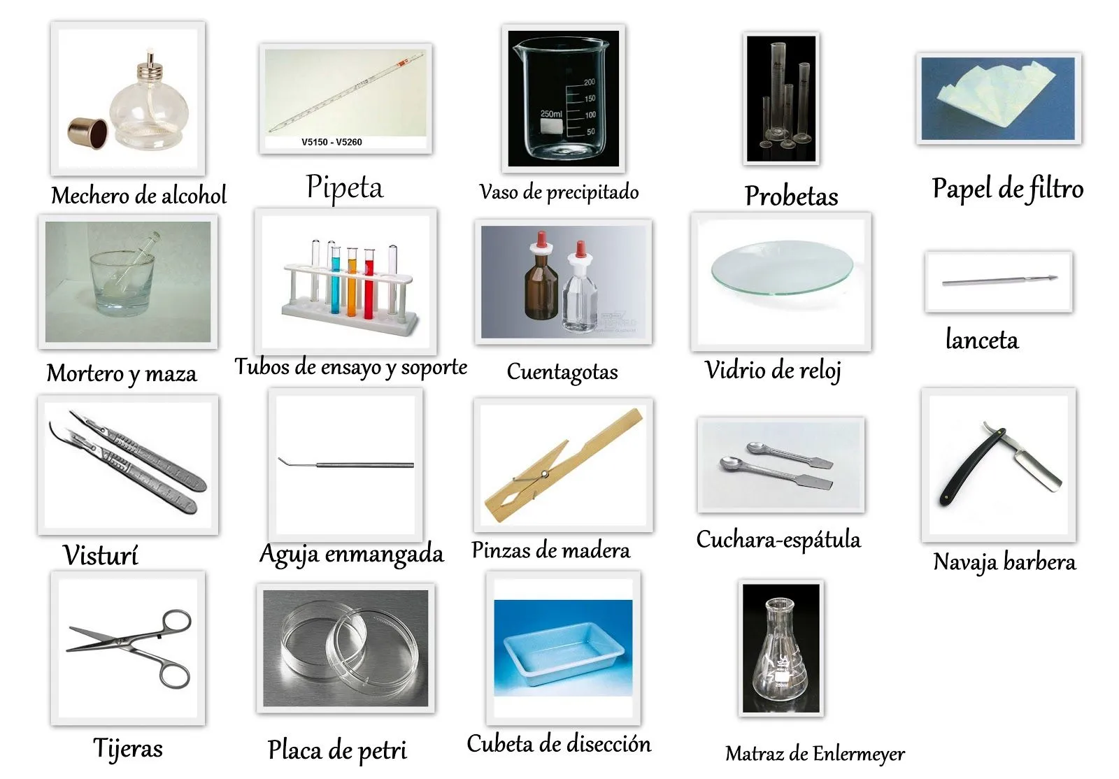 Blog de biologia: Instrumentos de laboratorio.