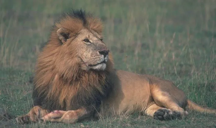 El Blog Catalizador | de José M. Pujol H. | Página 27