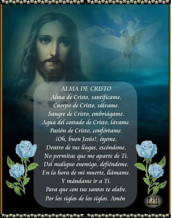 BLOG CATÓLICO GOTITAS ESPIRITUALES: Alma De Cristo