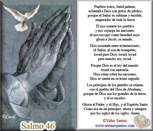 BLOG CATÓLICO DE ORACIONES Y DEVOCIONES CATÓLICAS: SALMOS