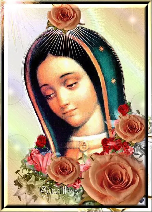 BLOG CATÓLICO VIRGEN MARÍA : IMAGENES VIRGEN DE GUADALUPE