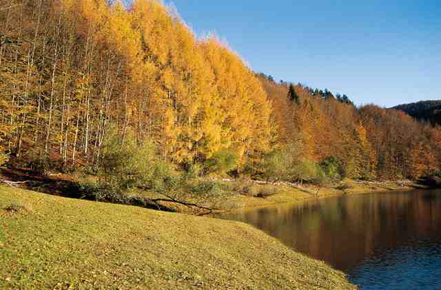 Blog de Ciencias Sociales: Imágenes de paisajes de climas templados