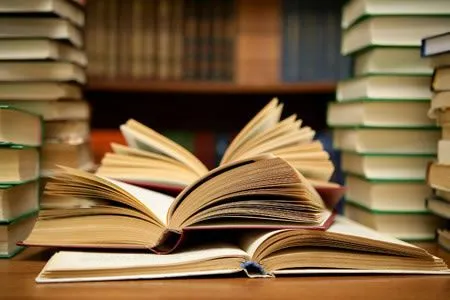 Blog de comunicación interna: Libros y bibliotecas: sin dinero ...