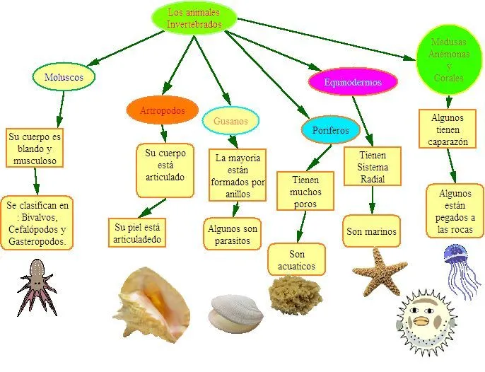 Invertebrados; Brachiopoda; Mesozoa