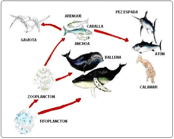 Blog Ecológico | blog de cfuentesv