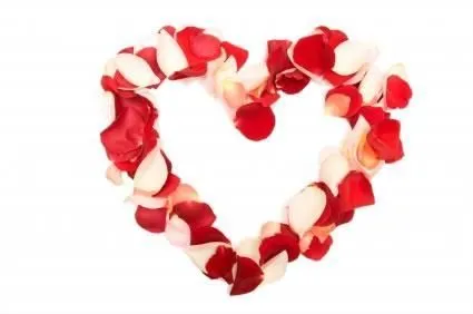 Blog de Economia: Estados Unidos revisa flores del Día de San ...