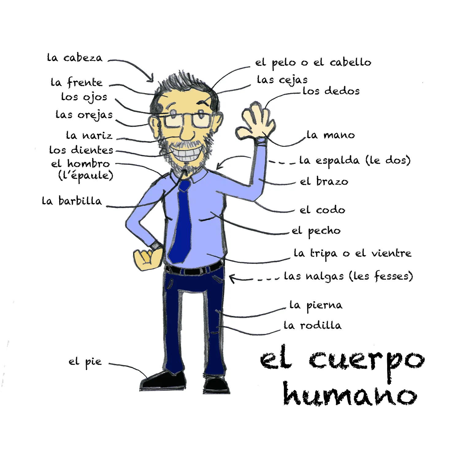 Mi blog de español: TROISIEME : el cuerpo humano