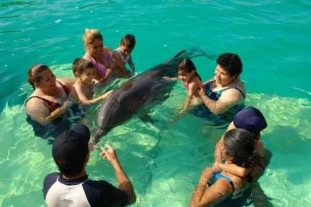 Blog Fans de Aquarium: Terapia con delfines