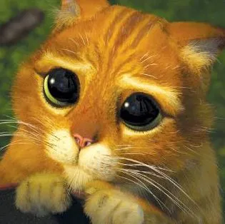 mi blog: IMAGENES DE GATITOS TIERNOS