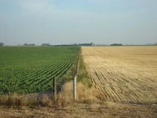 El blog de José T.: Nostalgias del campo argentino - Frutas y verduras