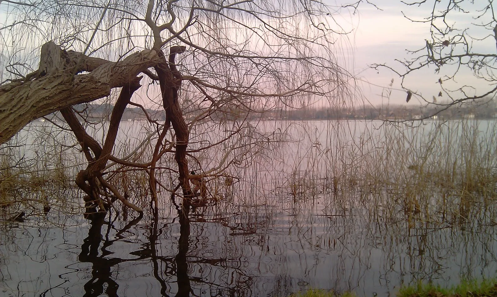 EL BLOG DE JUANMAROMO.: HA LLEGADO EL OTOÑO