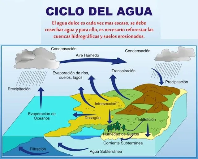 blog de laura: AGENTES GEOLÓGICOS EXTERNOS E INTERNOS, EL RELIEVE