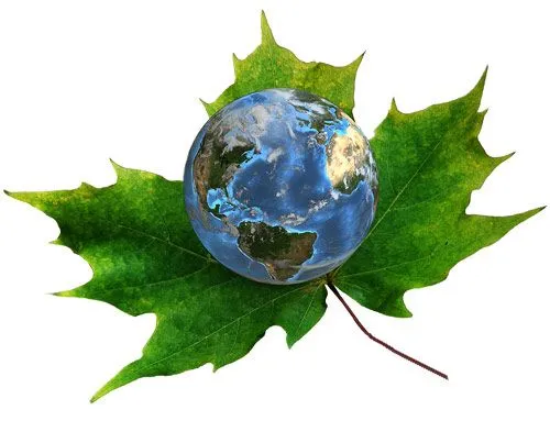 El Blog de Lunabella: Ecología y Medio Ambiente