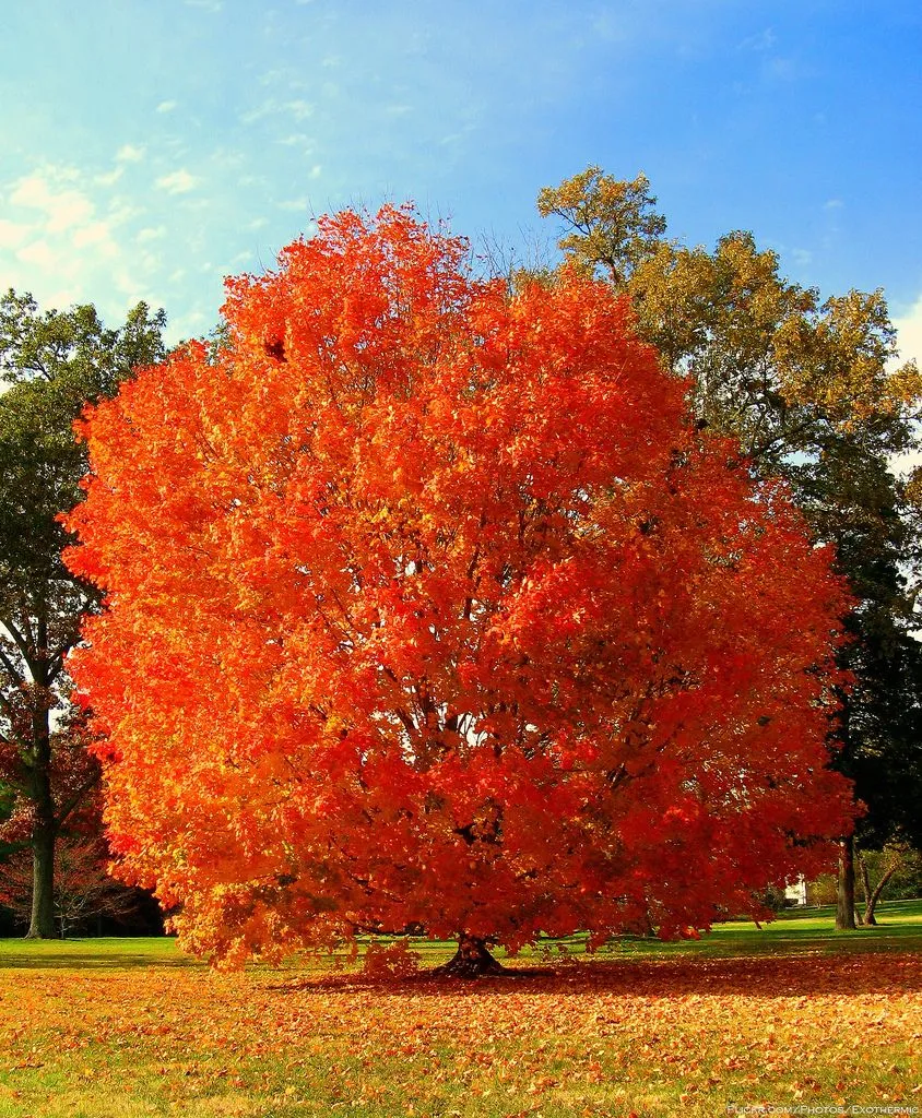 El Blog de Marcelo: OCTUBRE: PAISAJES DE OTOÑO