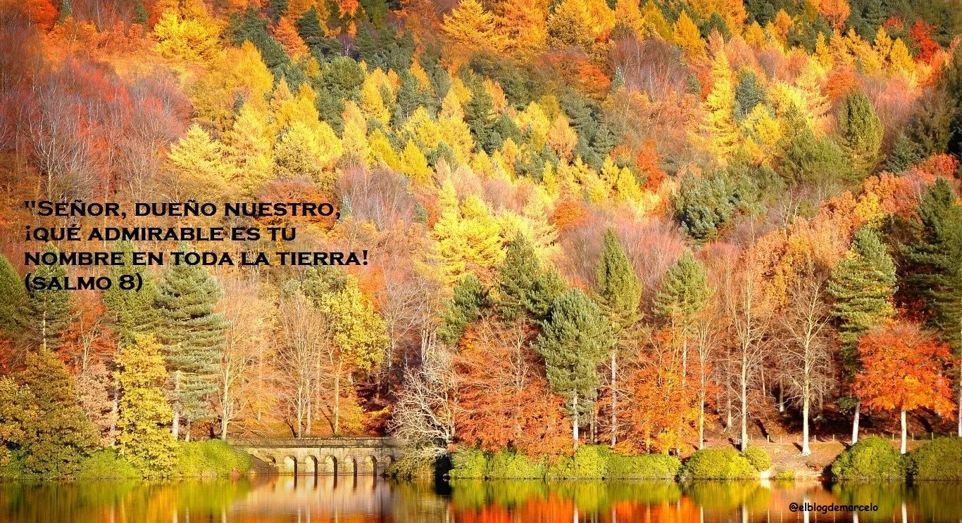 El Blog de Marcelo: ¡Regalo!: 20 paisajes de otoño, 20 frases de ...