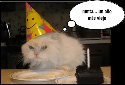 Un Blog Más: Feliz Cumpleaños Don Gato