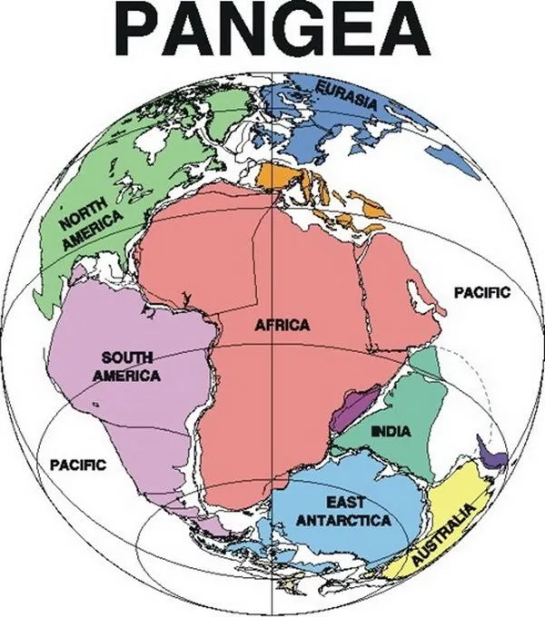 Blog de los niños: Pangea, el supercontinente