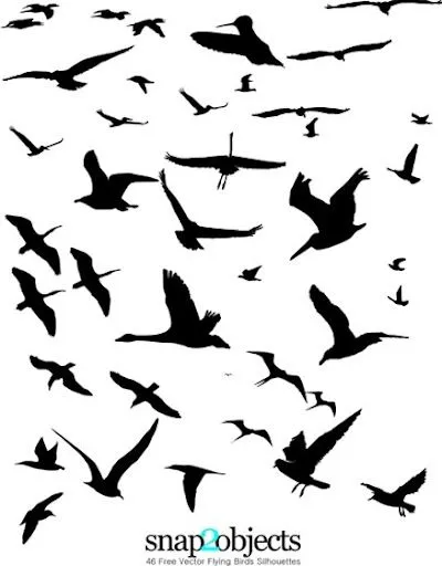 blog pirata: Vectores de Aves (