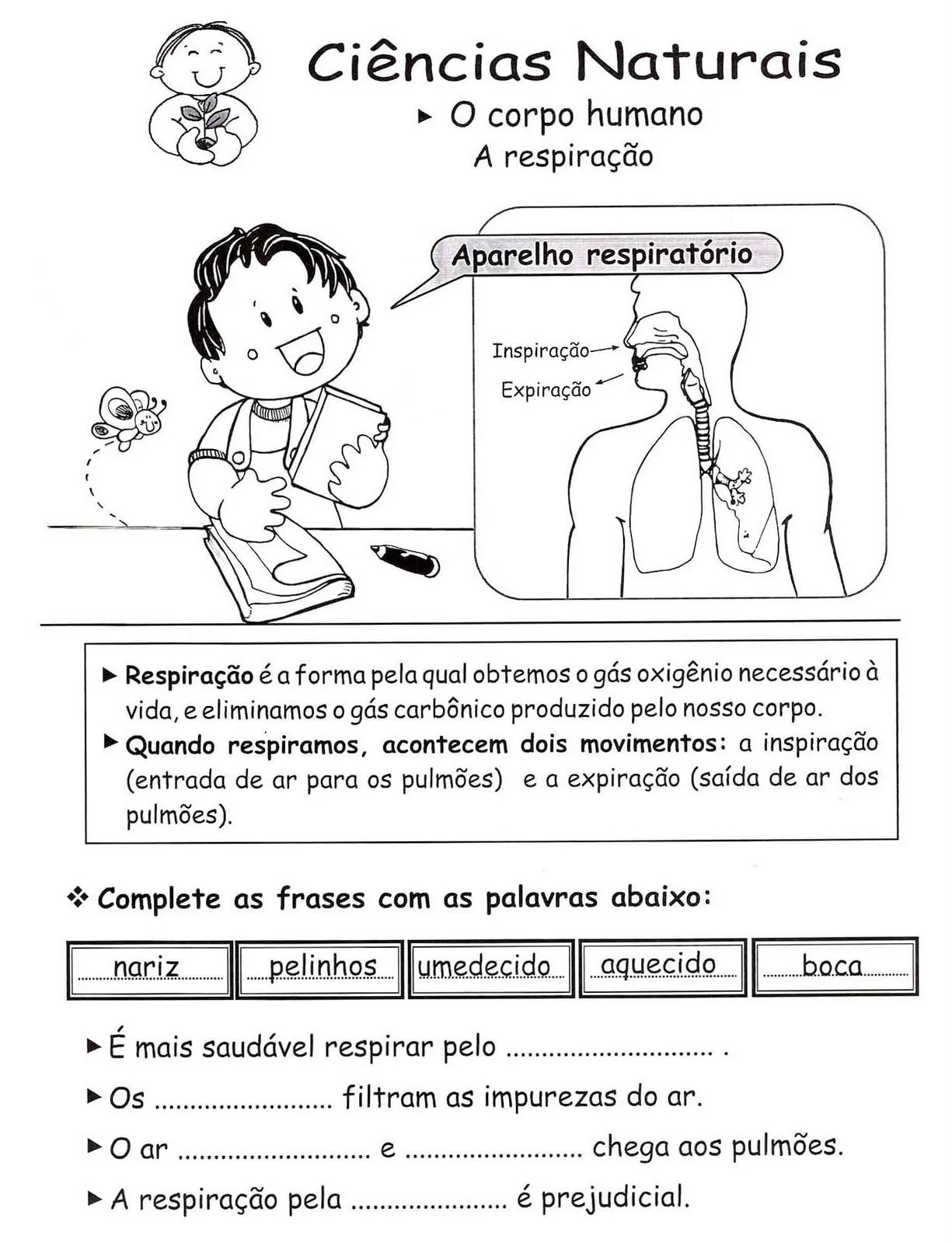 Blog Professor Zezinho : Atividades sobre sistema respiratório ...