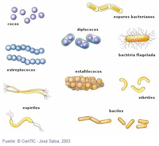 Blog de Quk: 07/01/2011 - 08/01/2011