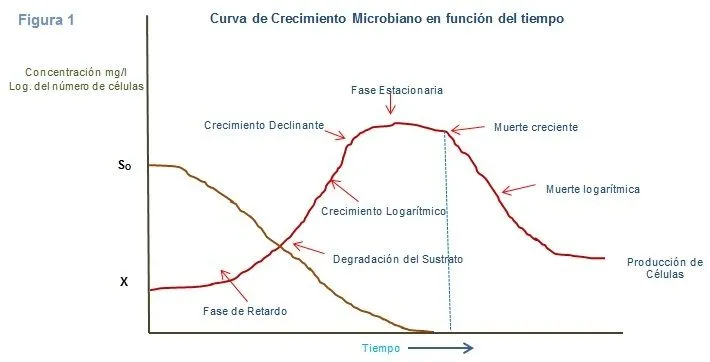 Blog de Quk: Sobre el crecimiento microbiano