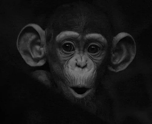 El Blog de La Sust: abril 2012