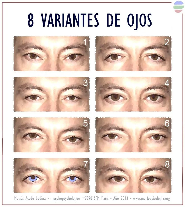 BLOGGER WWW.MORFOPSICOLOGIA.ORG: 8 TIPOS DE OJO Y SU SIGNIFICADO