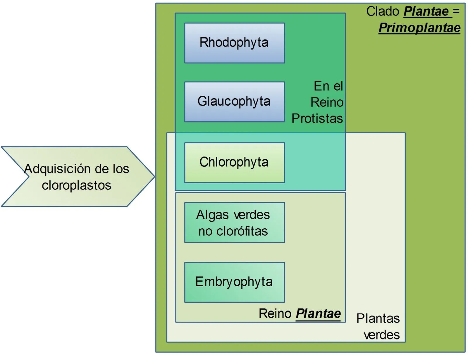 B.log.ia 2.0: Las plantas: sistemática, origen y evolución - I