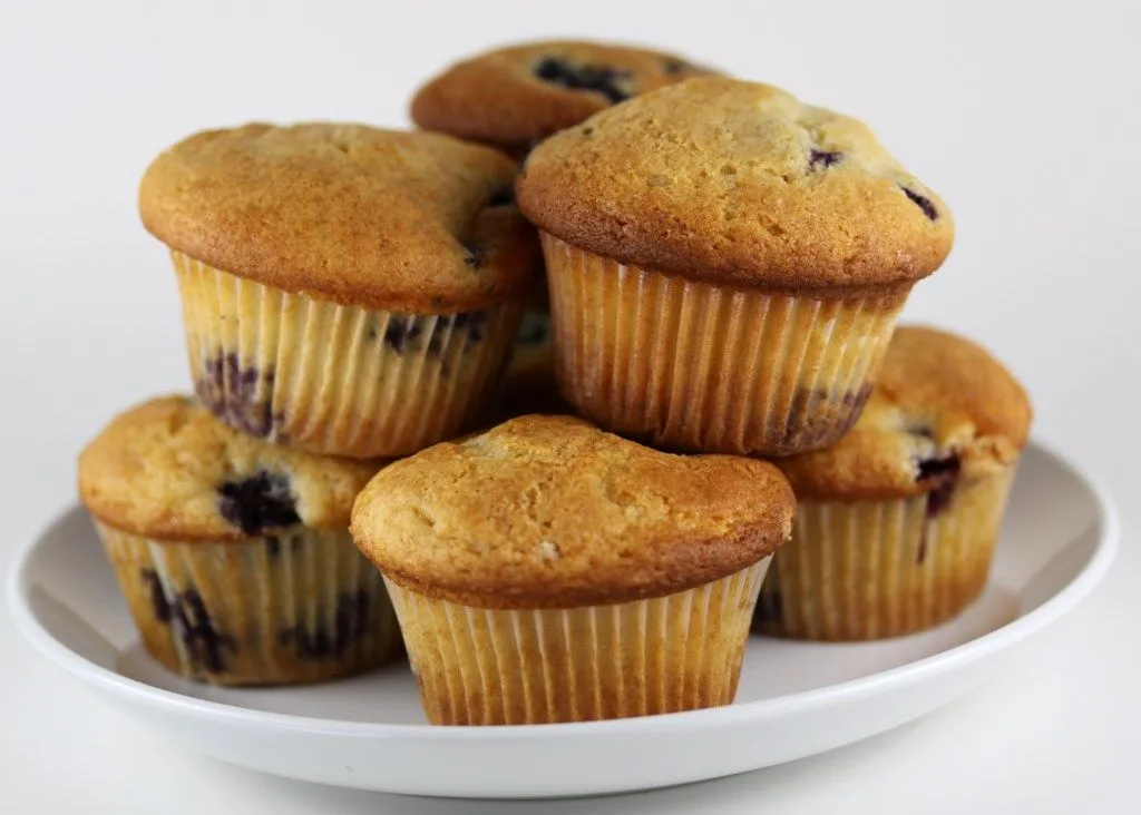 Blueberry Muffins | One Vanilla Bean