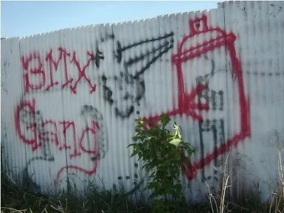 bmxgraff4.jpg