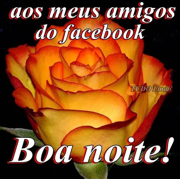 Boa noite amigos do facebook! Tenham todos, uma abençoada noite!