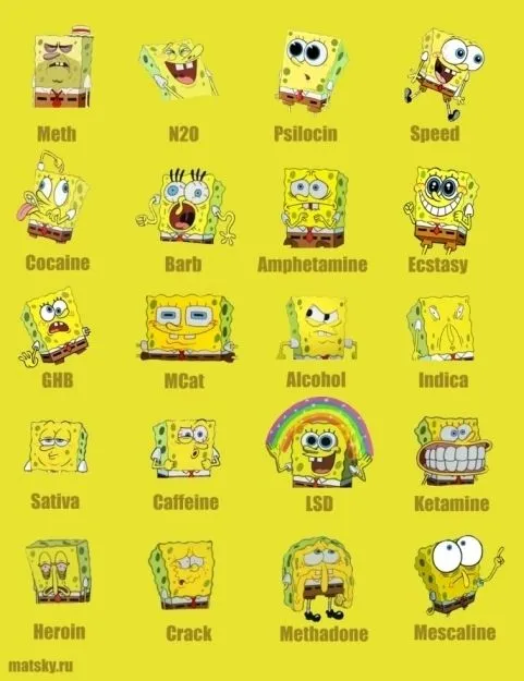 Bob esponja es adicto a las drogas?