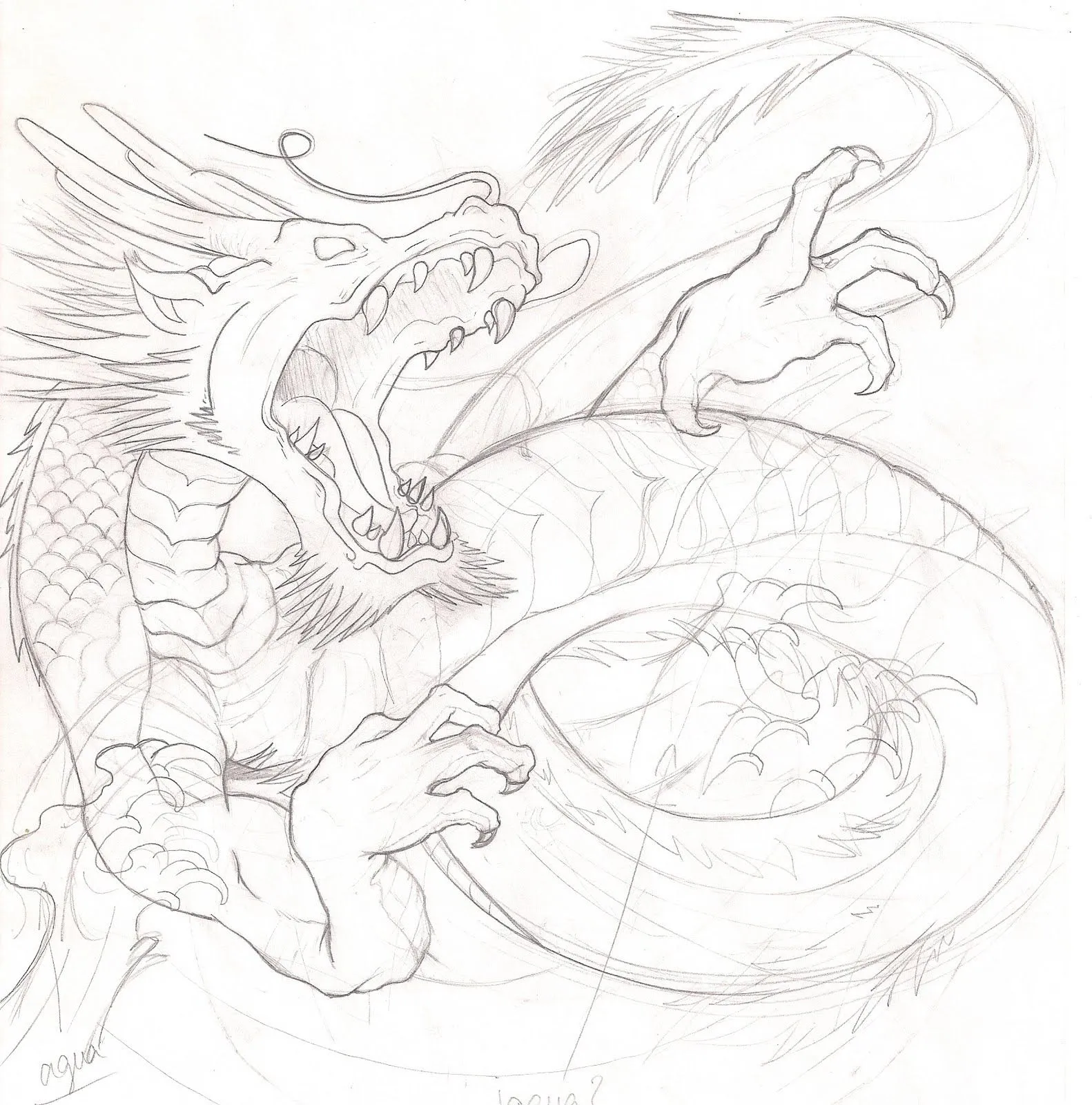 Boceto de dragones - Imagui