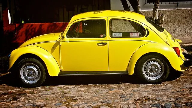 Bocho Amarillo (Yellow Bug) | Flickr - Photo Sharing!