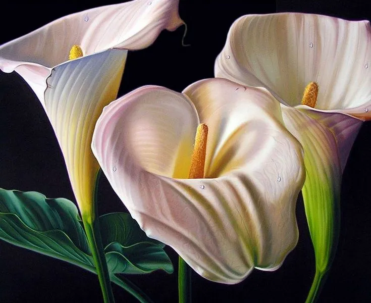 Galería de flores realistas | Imágenes Arte Temático