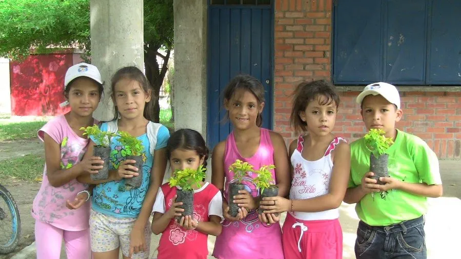 Boletín YCEM: Sembrando esperanza