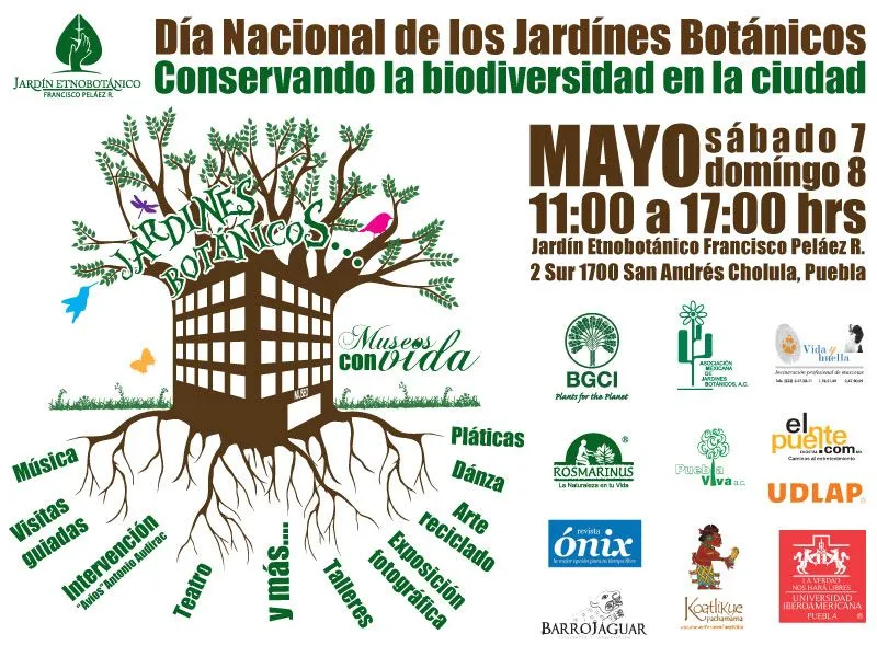 BOMBELLI-MANDALA: Nuestros amigos del jardín etnobotánico, Cholula ...