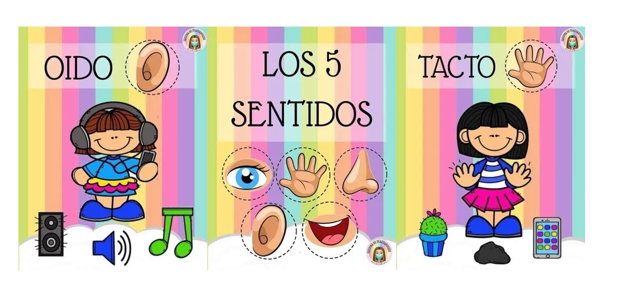 Bonitas láminas para trabajar los 5 sentidos, decora tu clase