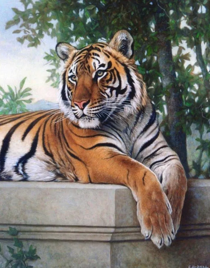 Bonitas pinturas de tigres óleo lienzo | El club del arte, pinturas