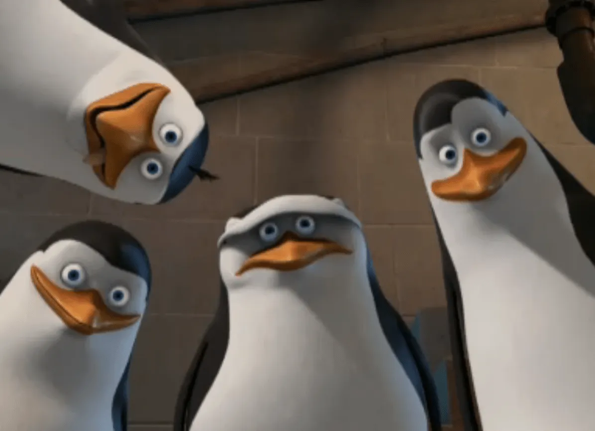 Bonitos y Gorditos - Penguins of Madagascar Photo (21530794) - Fanpop