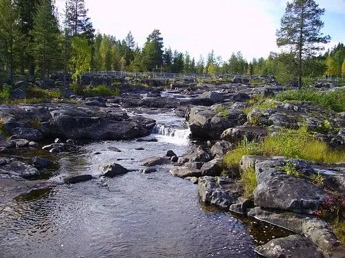 Uno de los bonitos paisajes de Storforsen