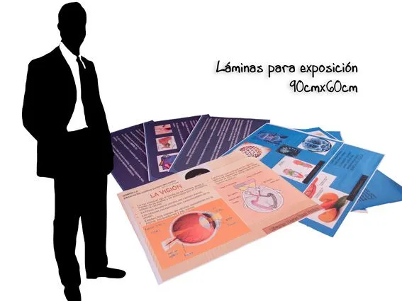 Book práctico : Láminas de exposición
