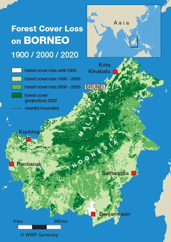 Borneo